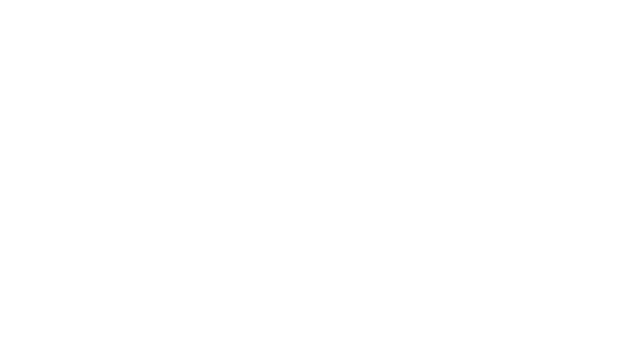 Stelioz Solutions Inc.
